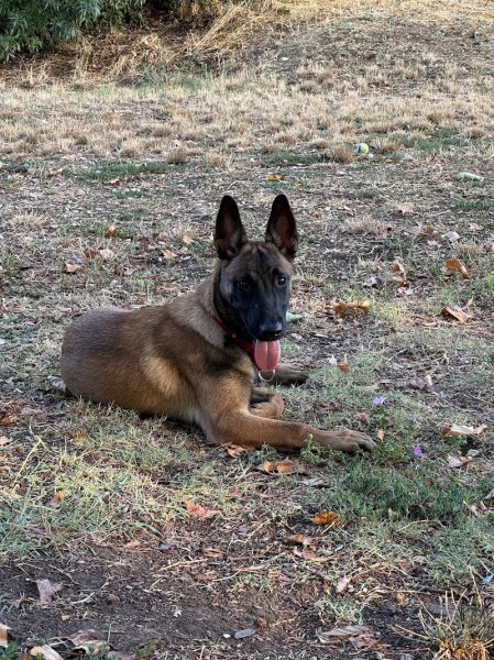 Educanin Harmonie - photo 3