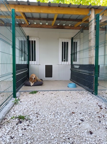 DOGVEL PENSION - photo 1