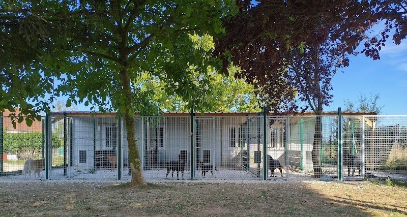 DOGVEL PENSION - photo 3