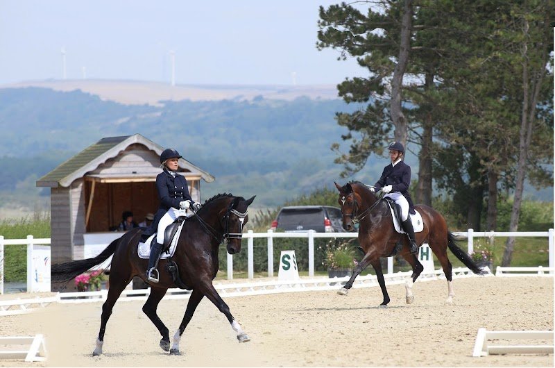 LIVERDY DRESSAGE - photo 1