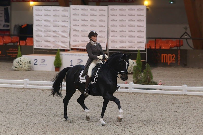 LIVERDY DRESSAGE - photo 2