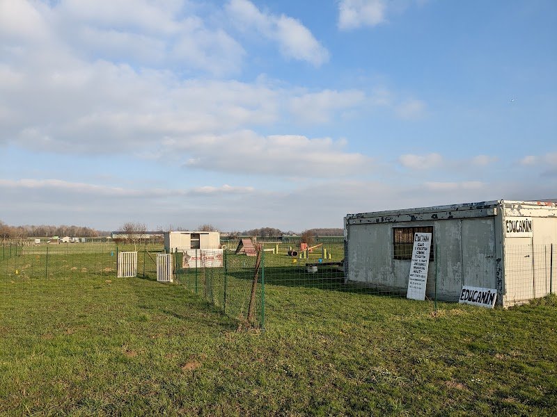 Club d'éducation canine - photo 1