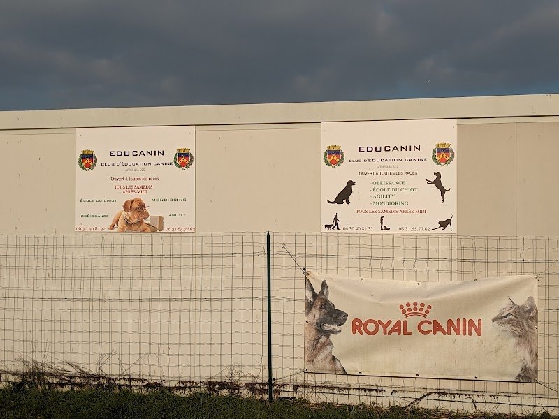 Club d'éducation canine - photo 2