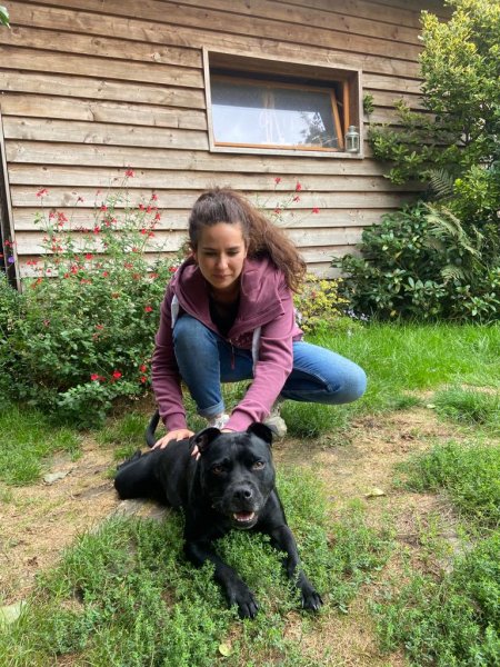 Ostéopathe Animalier- Coline Marchand (équin, canin, félin et NAC) - photo 2