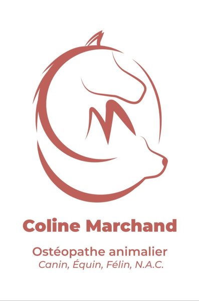 Ostéopathe Animalier- Coline Marchand (équin, canin, félin et NAC) - photo 3