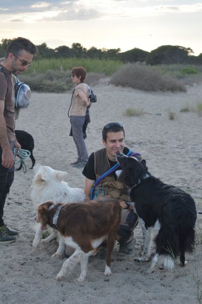 Anahata Dog'S - photo 2