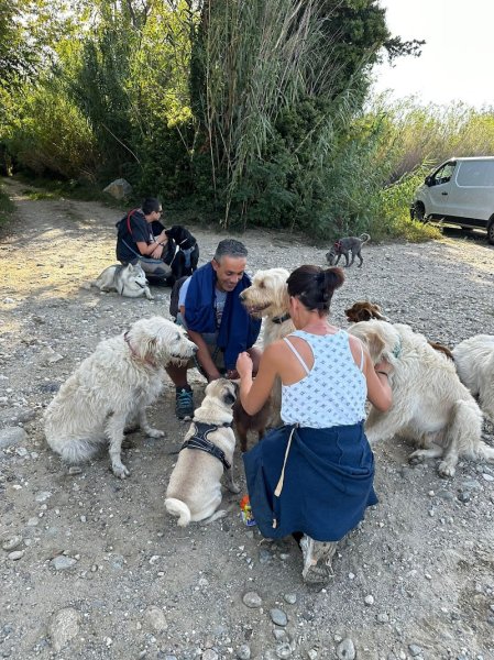 Anahata Dog'S - photo 3