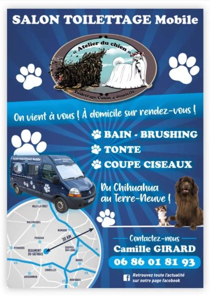 Atelier du chien salon de toilettage mobile - photo 2