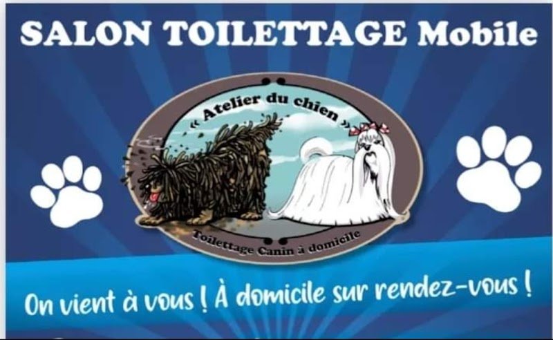 Atelier du chien salon de toilettage mobile - photo 3