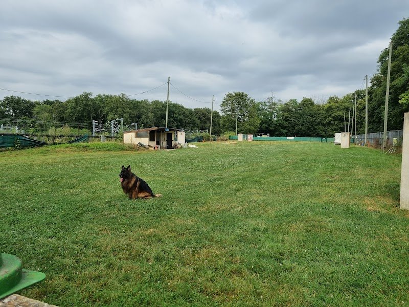 Club canin du Val de l'Ourcq - photo 2