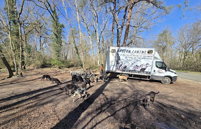 EVASION CANINE - photo 3