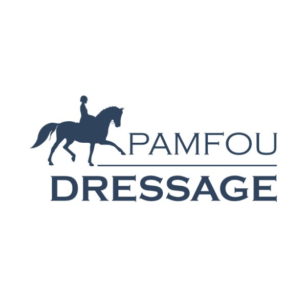Pamfou Dressage - photo 1
