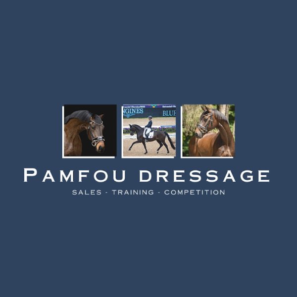 Pamfou Dressage - photo 2