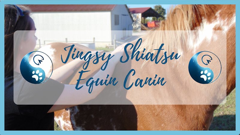 Jingsy Shiatsu Equin Canin - photo 1