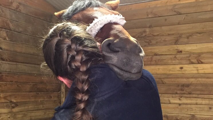 Capucine Mareau - Ostéopathe Animalier (équin, canin, félin, NAC) inscrite au RNA