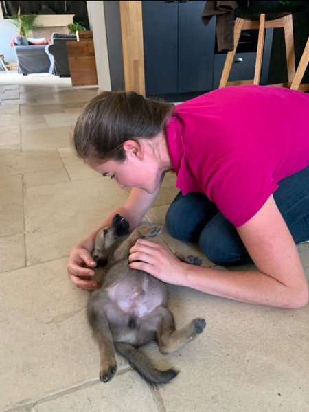 Capucine Mareau - Ostéopathe Animalier (équin, canin, félin, NAC) inscrite au RNA - photo 2
