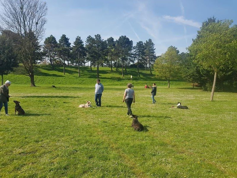La meute d’Onyx – Educateur comportementaliste canin à Sartrouville et ses alentours - photo 2