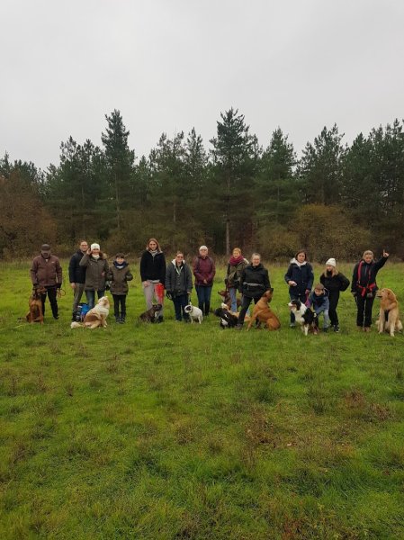 La meute d’Onyx – Educateur comportementaliste canin à Sartrouville et ses alentours - photo 3