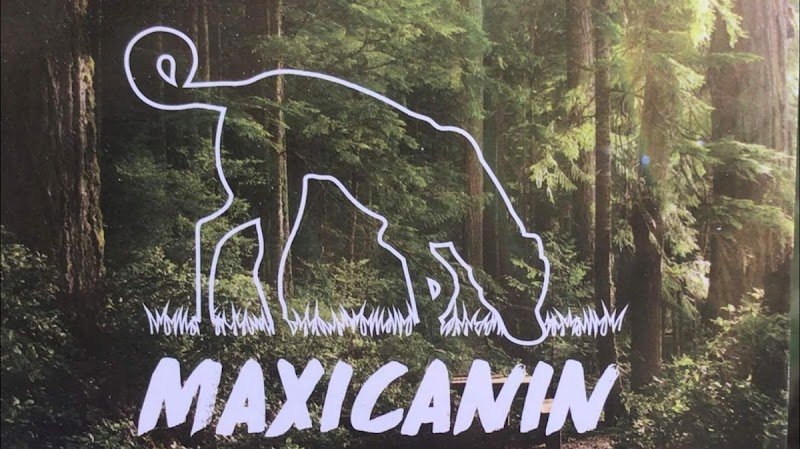 Maxicanin promenade de chiens