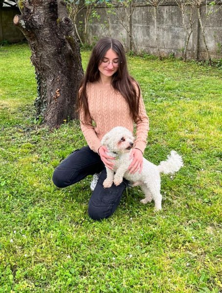 Kindly Dog - Comportementaliste canin - photo 2