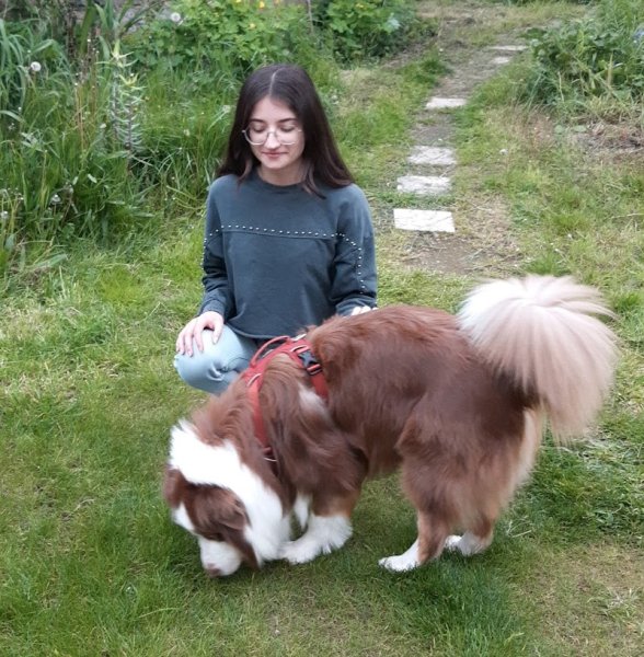 Kindly Dog - Comportementaliste canin - photo 3