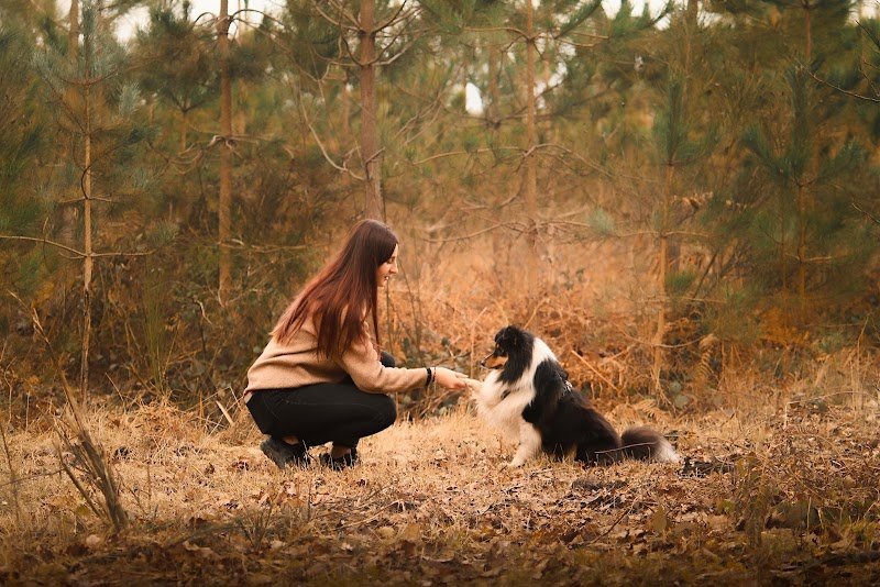 Charline Cordin, Educateur Comportementaliste Canin