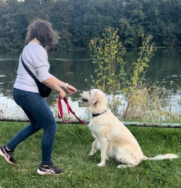 Sherwood DogEduc - photo 3