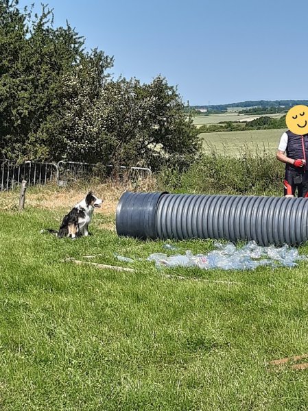 Club Canin Villiers-Saint-Frédéric - photo 2