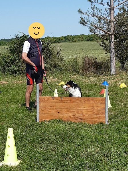 Club Canin Villiers-Saint-Frédéric - photo 3