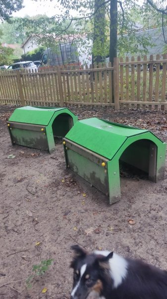 Toutouland – Aire d'agilité pour chiens - photo 2