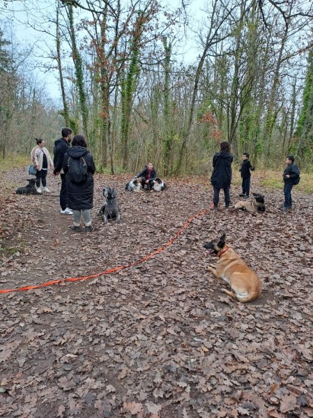 SoFunDOG Educatrice et Comportementaliste canin 78 GARGENVILLE YVELINES - photo 3
