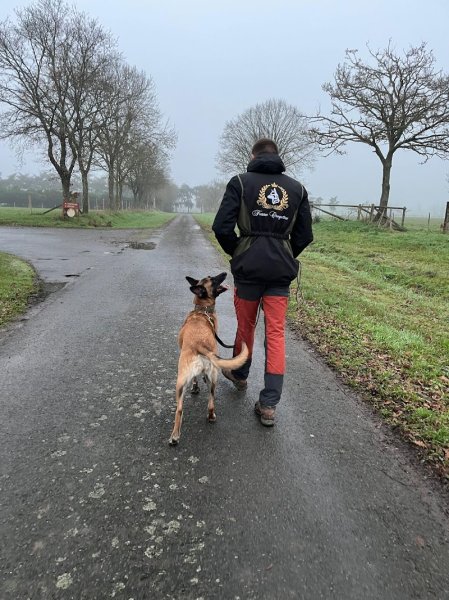 Damien Boyer - Éducateur canin - photo 2