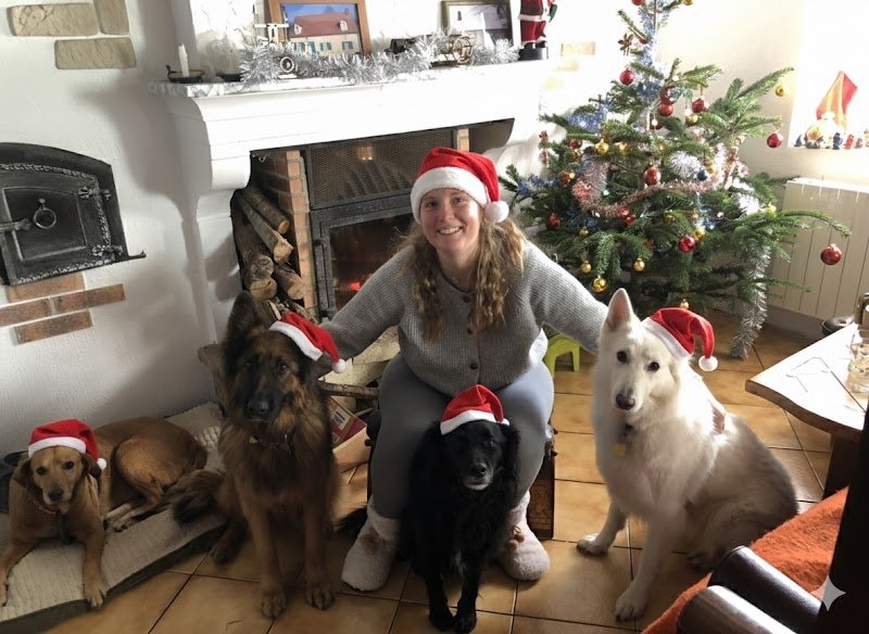 La grande vadrouille canine - photo 2