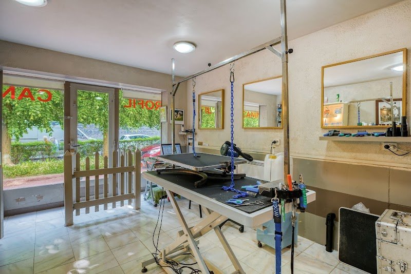 Profil Canin - photo 3