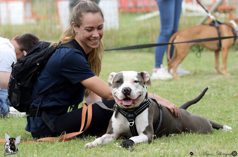 Lea Gosselin - Educateur et comportementaliste canin - photo 1