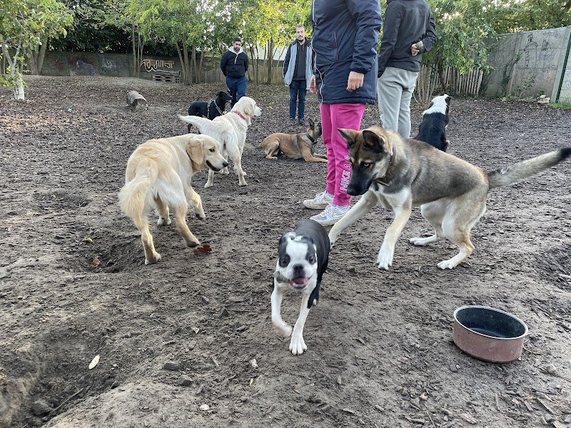 Caniparc - Parc à chiens - photo 3