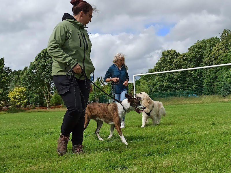 Michaëlla Maigret - Éducation Canine - photo 2