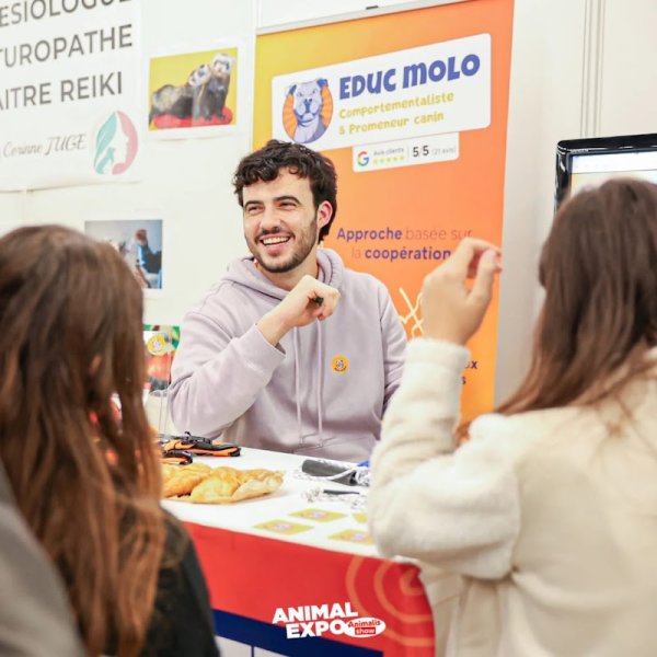 Educ Molo - Educateur canin et promeneur, diplômé d’Etat