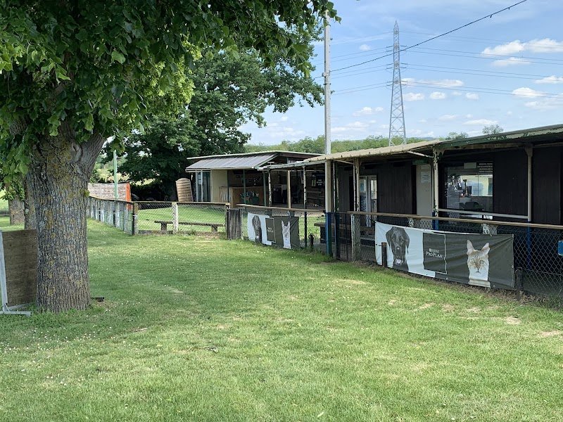 Club d'Éducation Canine d'Épone - photo 1