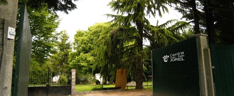 Pension chien 78 JOREL - photo 1