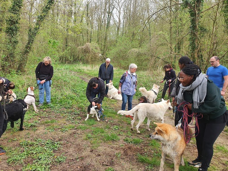 Pension chien 78 JOREL - photo 3