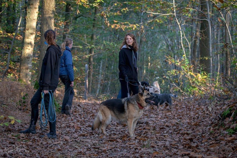 Au Bout De Sa Truffe - Charlotte d'Yvoire - Comportementaliste - photo 2