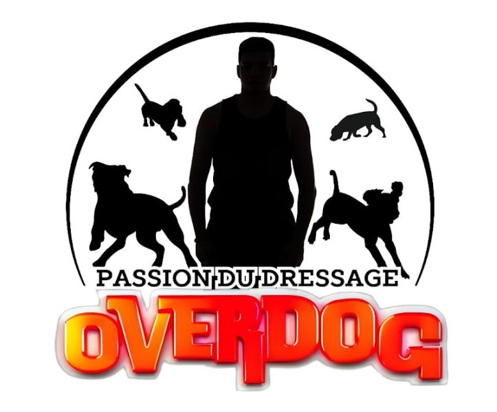 Overdog - photo 1
