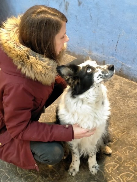 Céline Wiedemann Ostéopathe animalier (équin, canin, félin..) - photo 3