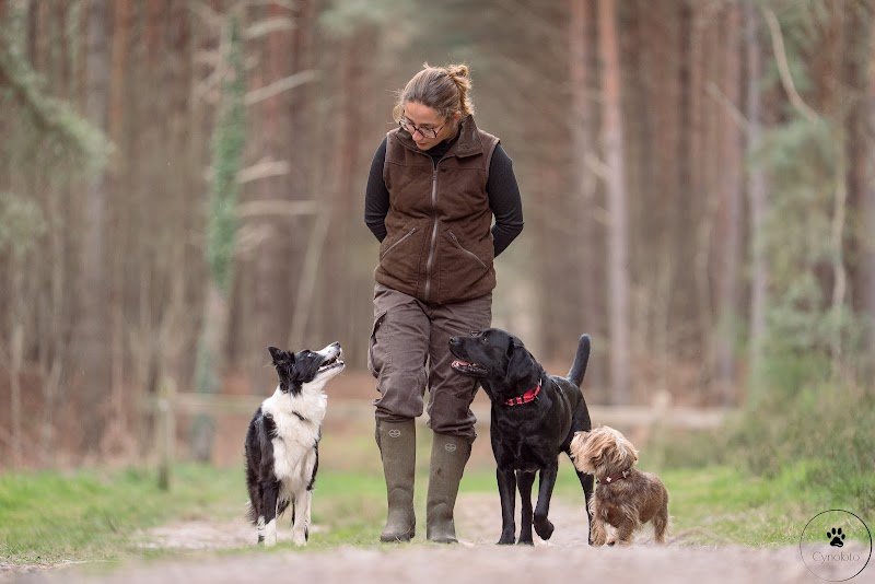 La Conciergerie Canine 78 - ÉDUCATEUR CANIN - BALADES