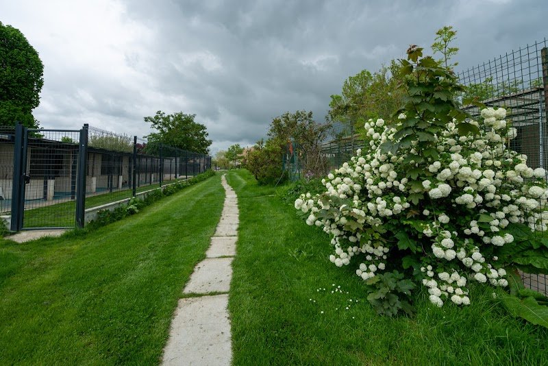 La Coquerie - Pension pour Chiens, Toilettage, éducation canine & Vente d'alimentation Canin et félin