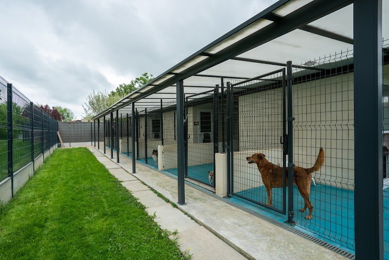 La Coquerie - Pension pour Chiens, Toilettage, éducation canine & Vente d'alimentation Canin et félin - photo 2