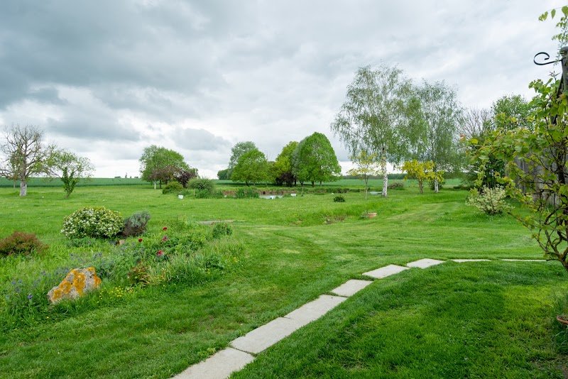La Coquerie - Pension pour Chiens, Toilettage, éducation canine & Vente d'alimentation Canin et félin - photo 3