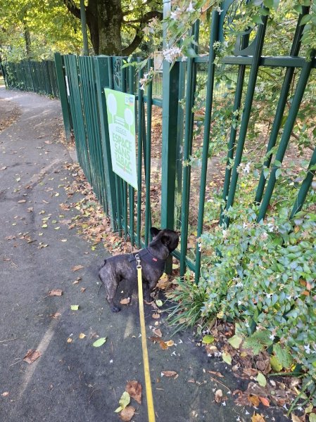 CANINGARDE - photo 2