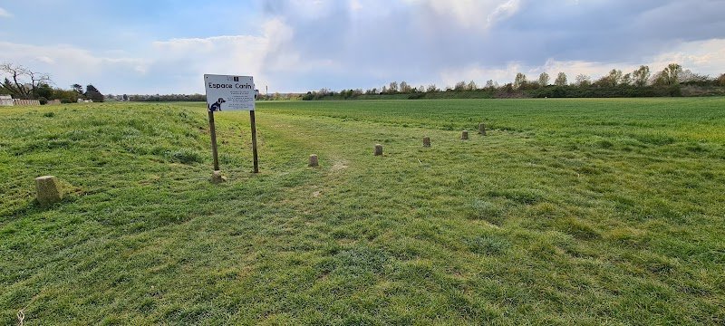 Espace canin - photo 1